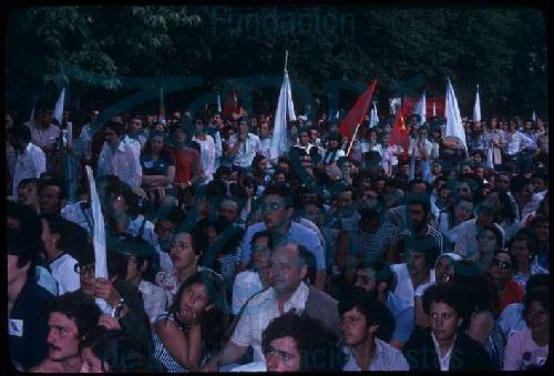 Manifestación do BN-PG do Día da Patria Galega de 1978 # 23